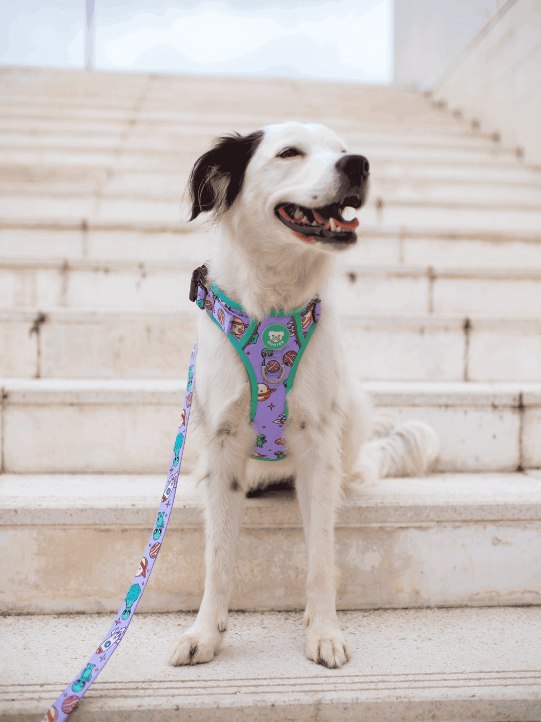 ARNES TRAIL PARA PERRO ALIEN