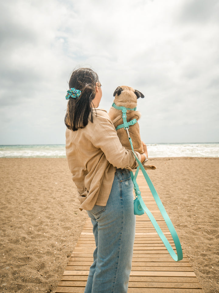 MINT WATERPROOF DOG HARNESS