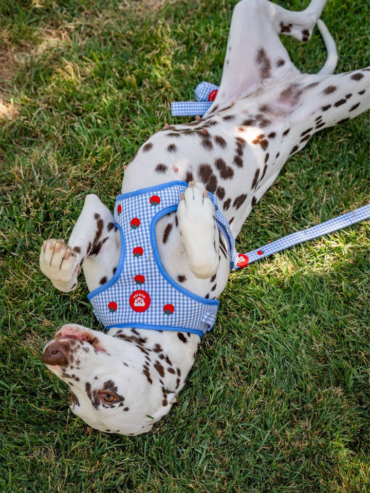ADJUSTABLE DOG HARNESS TOMATOES