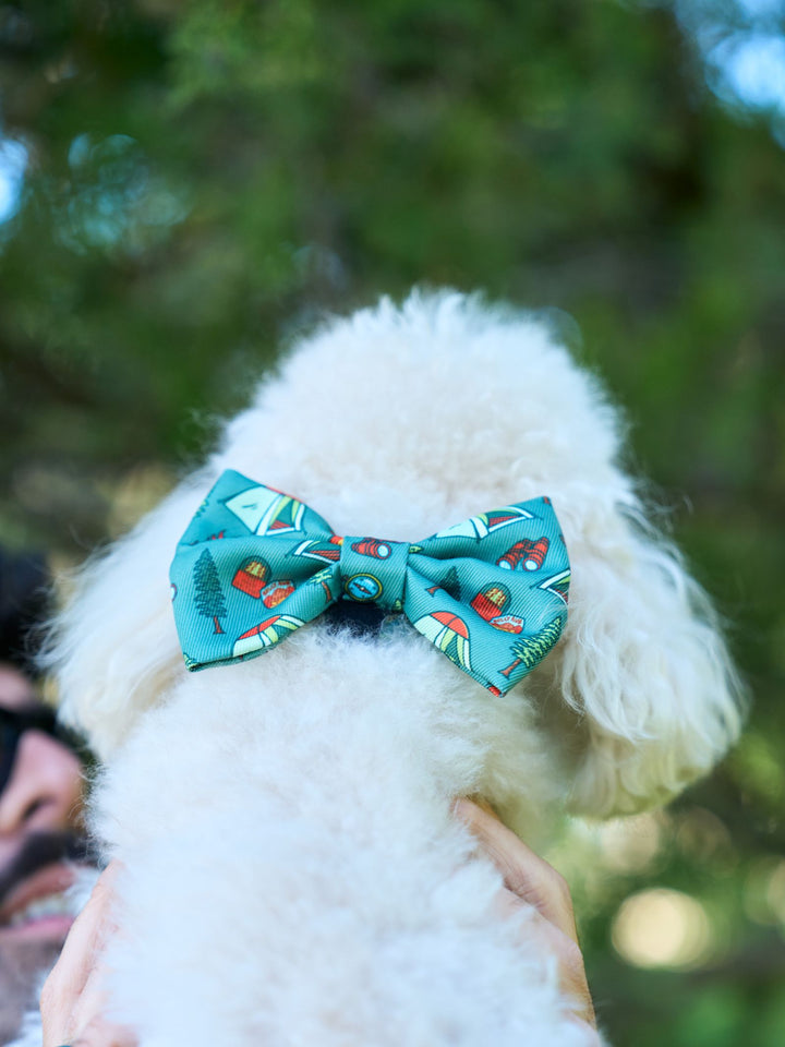 NOEUD PAPILLON SCOUTS POUR CHIEN