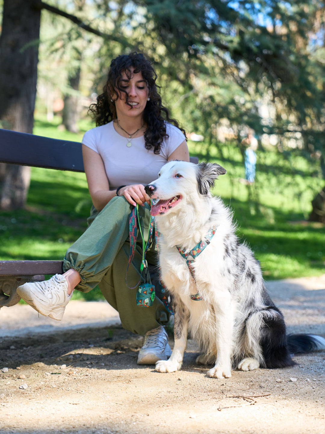 HARNAIS CLASSIQUE SCOUTS POUR CHIEN