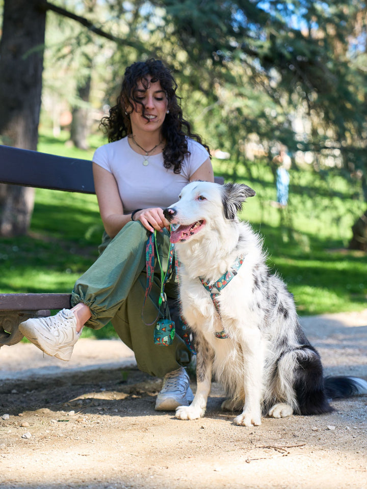 HARNAIS CLASSIQUE SCOUTS POUR CHIEN