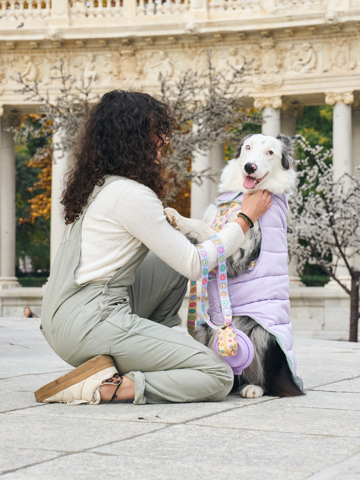 DOG COAT PURPLE