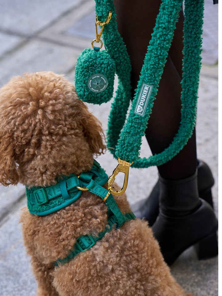 TEDDY GREEN DOG LEASH