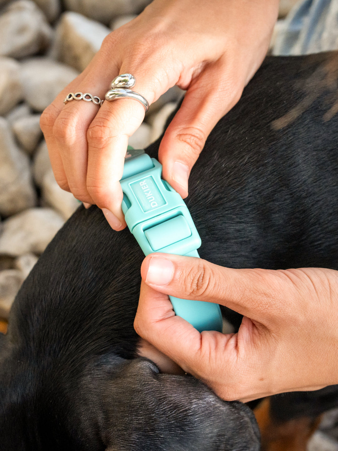 COLLAR WATERPROOF PARA PERRO MINT