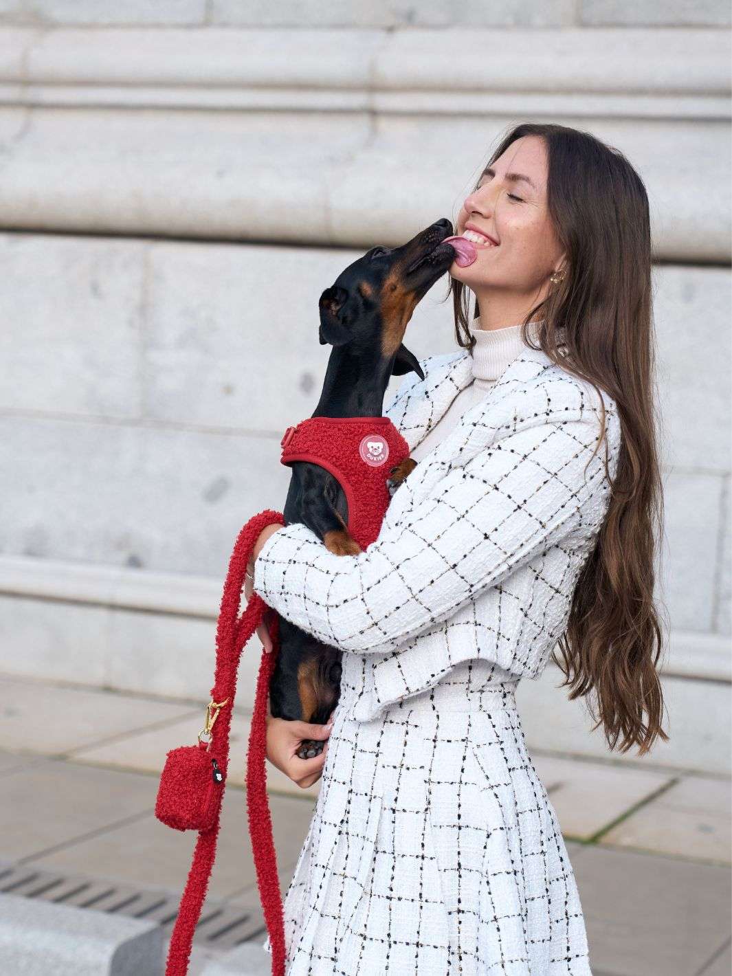 ARNÉS AJUSTABLE PARA PERRO TEDDY RED