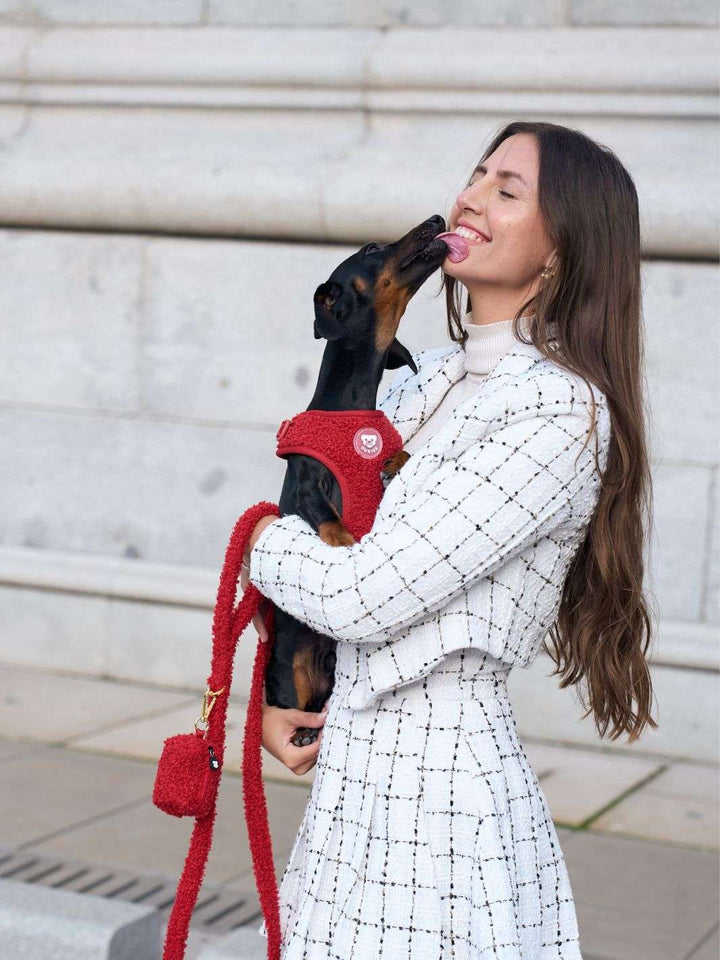 ARNÉS AJUSTABLE PARA PERRO TEDDY RED