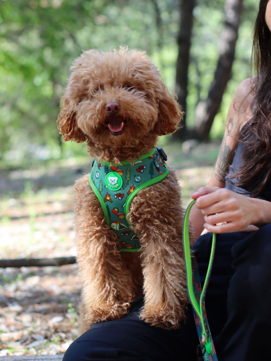 SCOUTS ADJUSTABLE DOG HARNESS