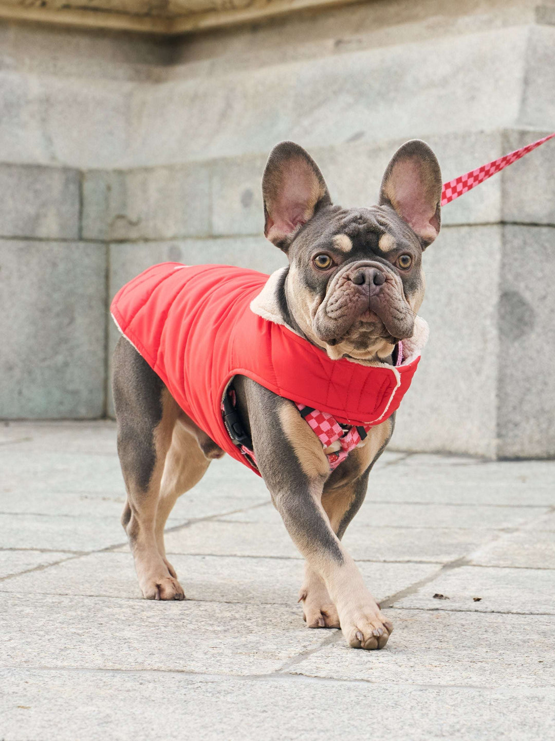 ABRIGO PARA PERRO RED