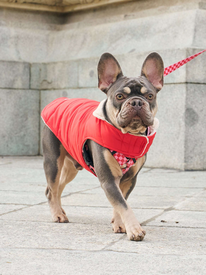 ABRIGO PARA PERRO RED