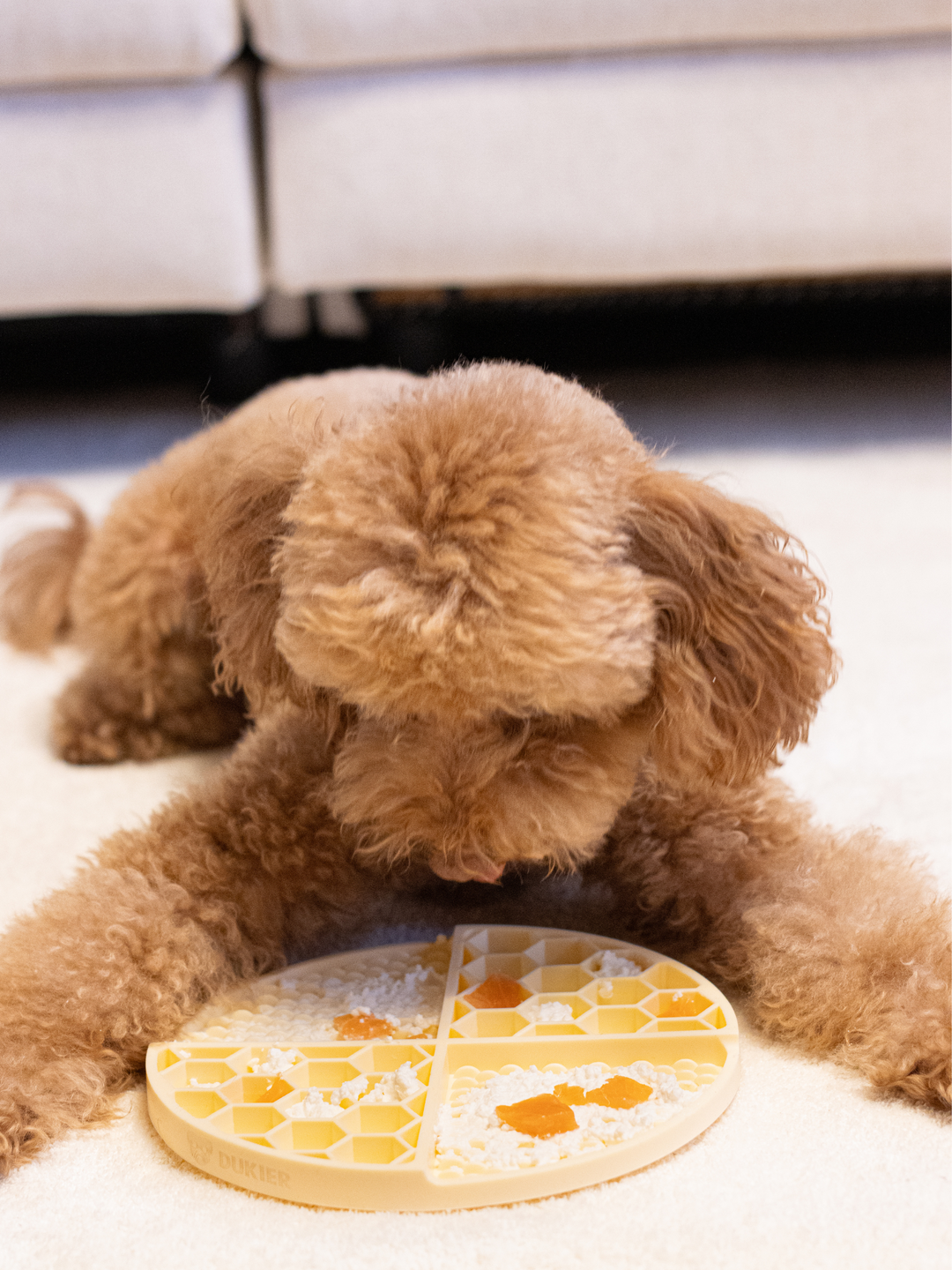 LICK MAT PARA CÃO YELLOW