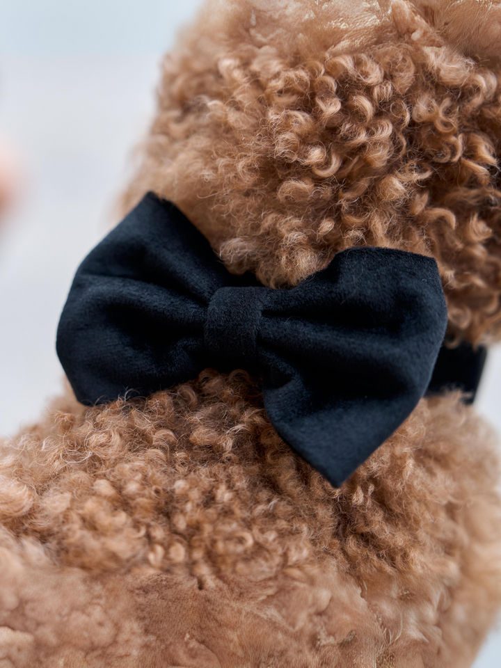 VELVET RED BOW TIE FOR DOGS