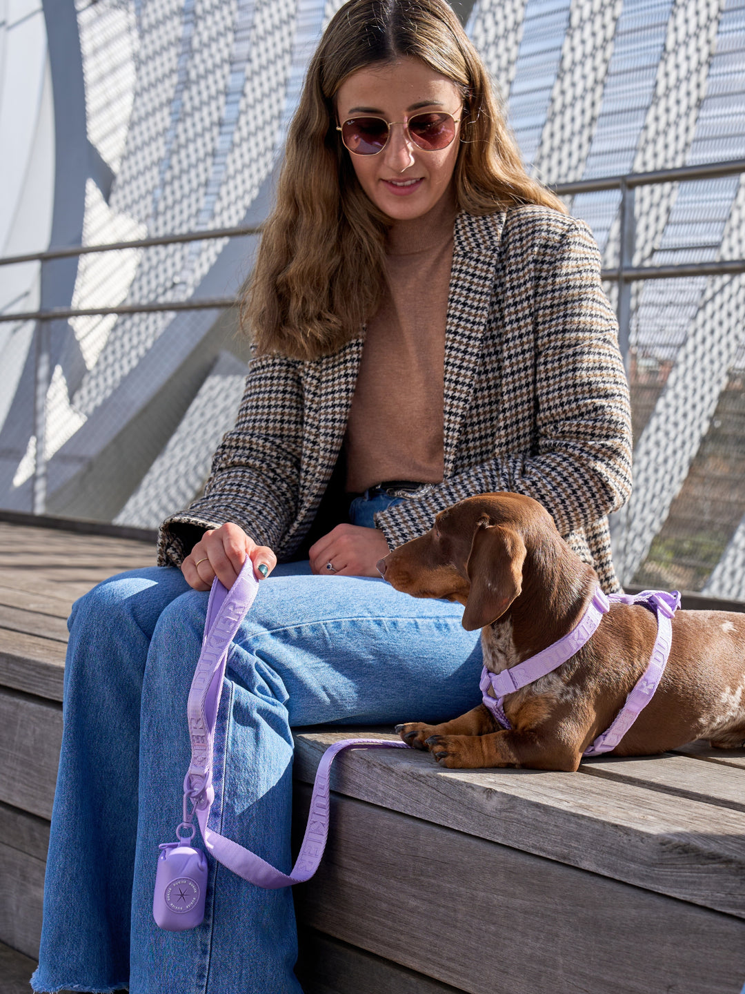 CORREA PARA PERRO VIOLET