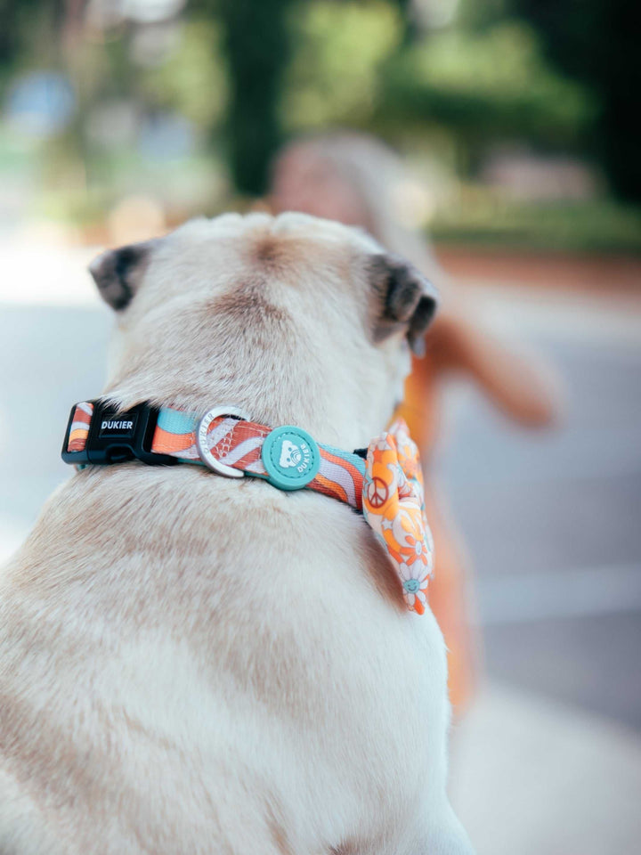 COLLAR PARA PERRO PEACE