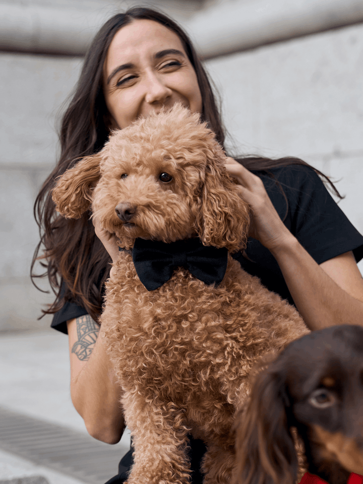 PAJARITA PARA PERRO VELVET BLACK