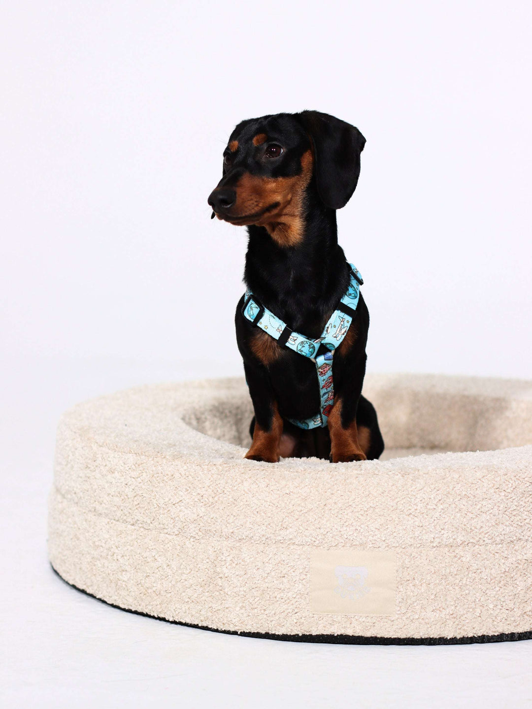 CAMA PARA PERRO DUKIER