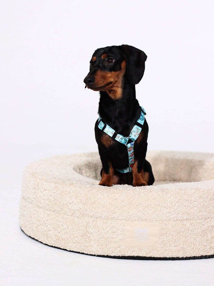 CAMA PARA PERRO DUKIER