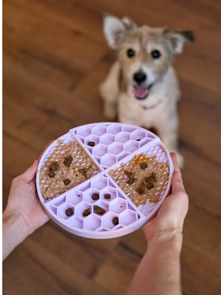 LICK MAT PARA PERRO PURPLE