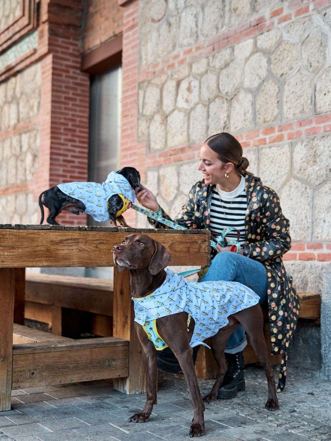 CHUBASQUERO PARA PERRO STORM