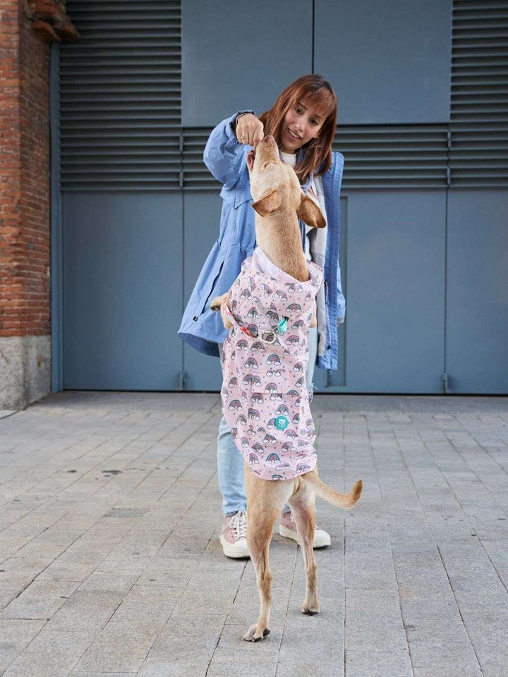 CHUBASQUERO PARA PERRO RAINBOW