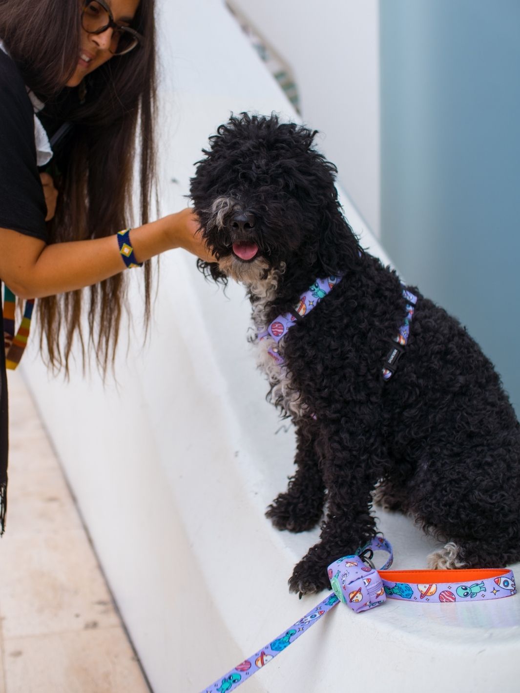 ALIEN CLASSIC DOG HARNESS