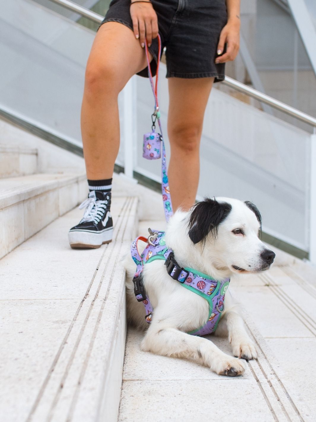 CORREA PARA PERRO ALIEN