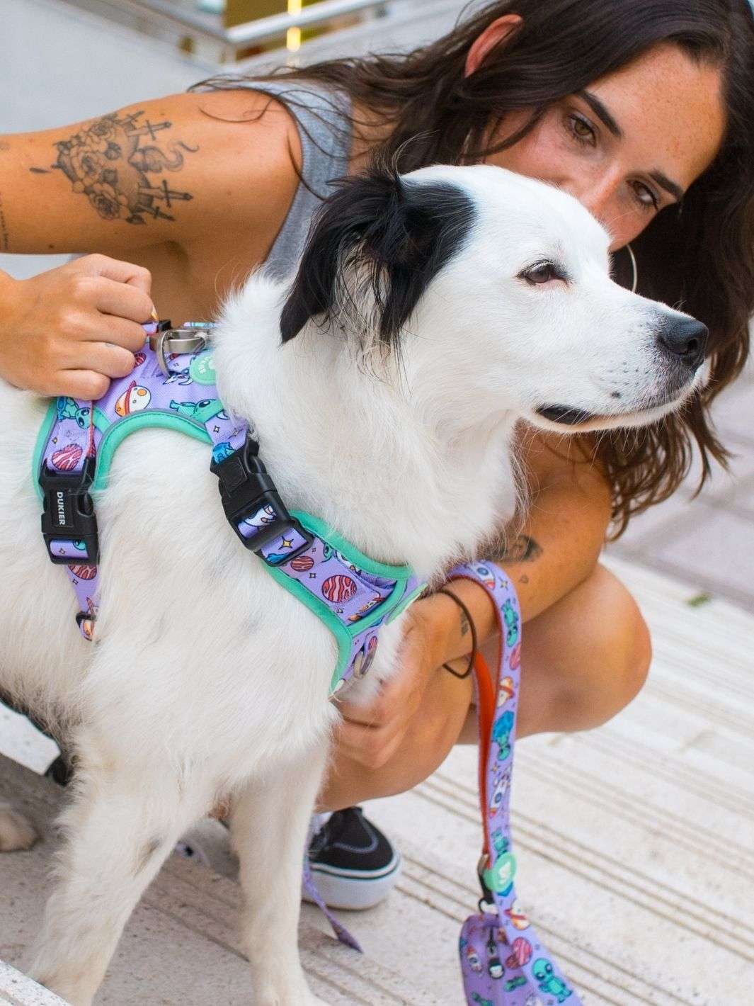 ARNES TRAIL PARA PERRO ALIEN