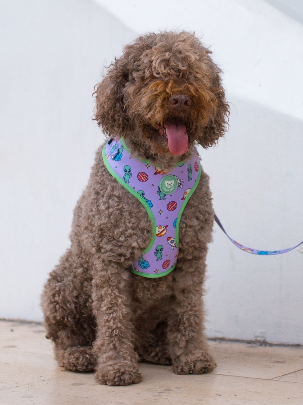 ALIEN ADJUSTABLE DOG HARNESS