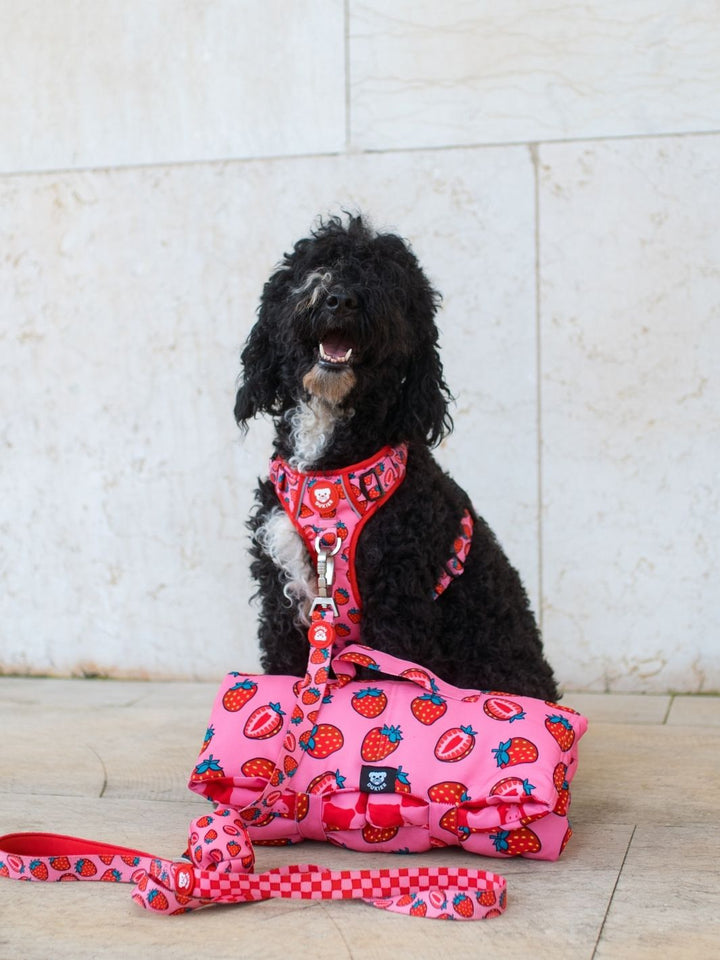 TRAIL DOG HARNESS BERRY LOVE