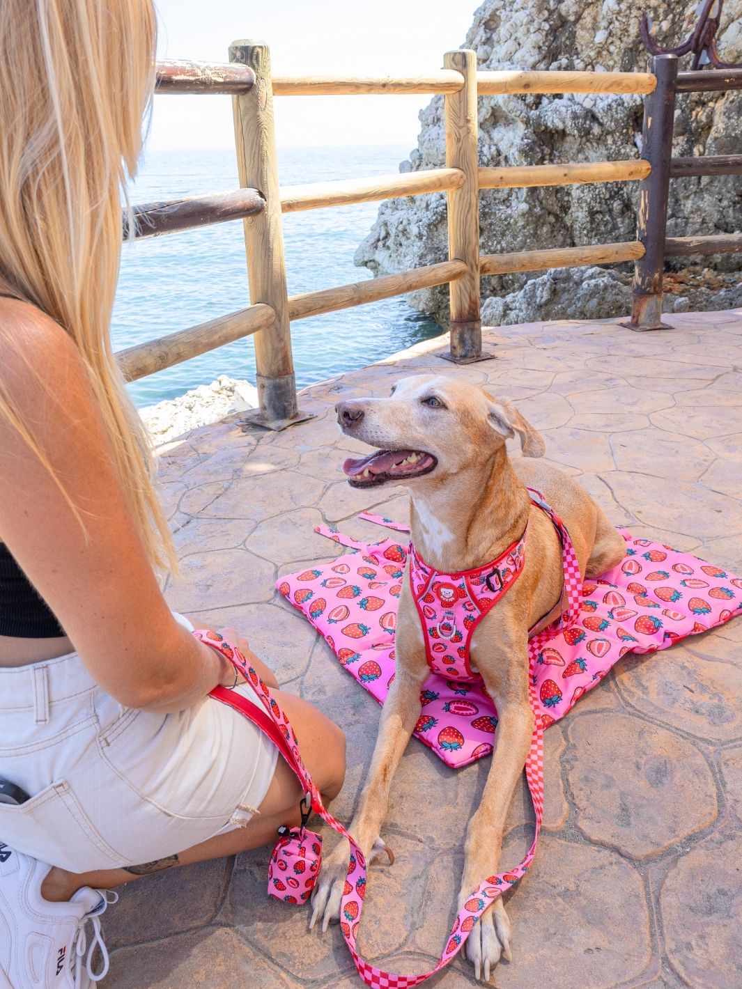 COPERTA PIEGHEVOLI PER CANI TURTLE
