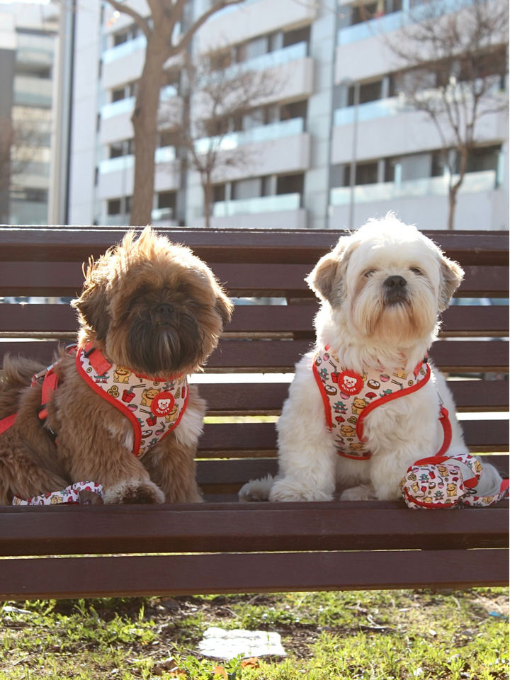 ASIAN ADJUSTABLE DOG HARNESS