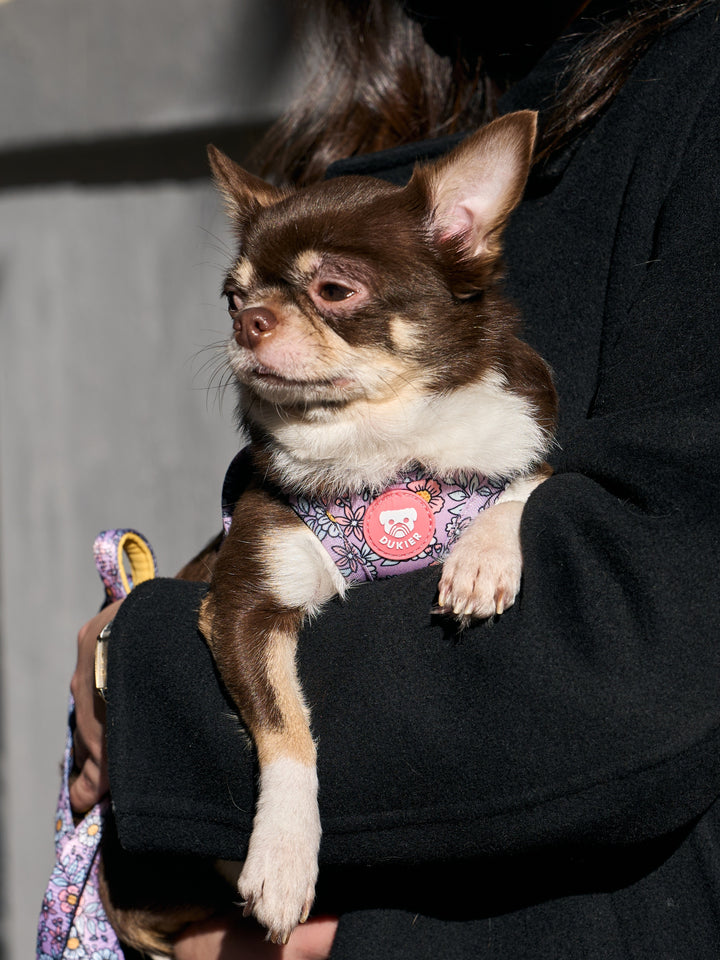 PETTORINA PER CANE BODY FLOWER POWER