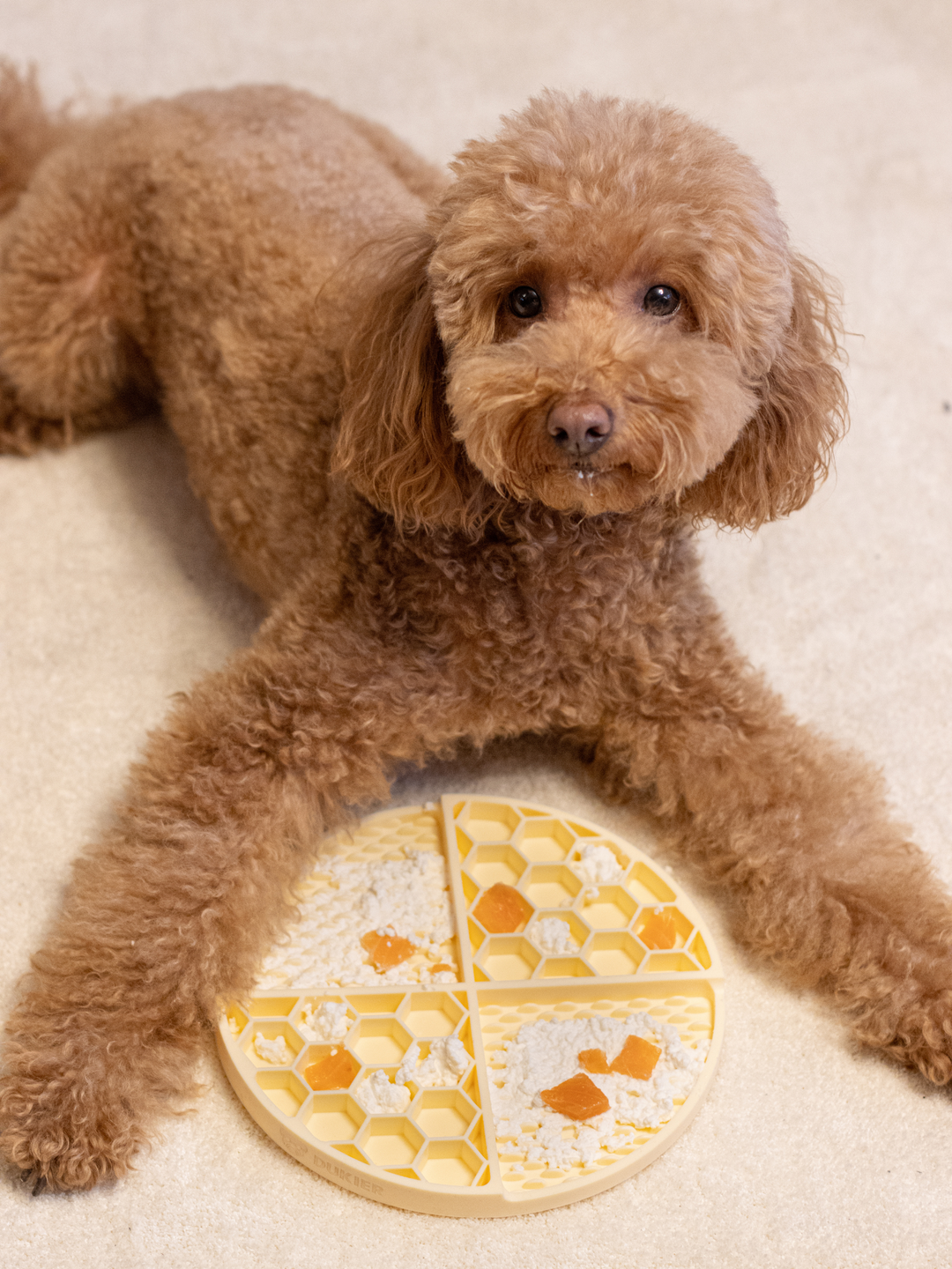 LICK MAT PARA CÃO YELLOW