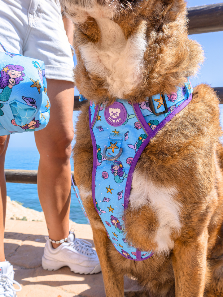ARNES TRAIL PARA PERRO MERMAID