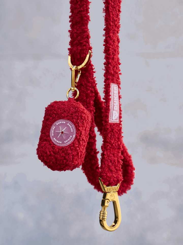 PORTA BOLSAS CACA TEDDY RED