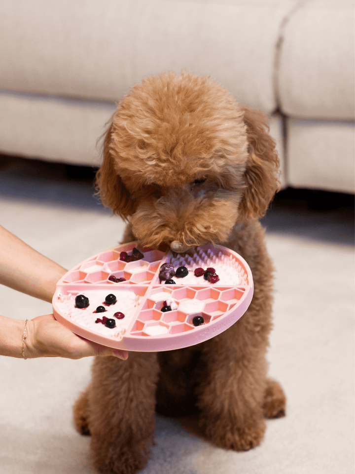 LICK MAT PARA PERRO PINK