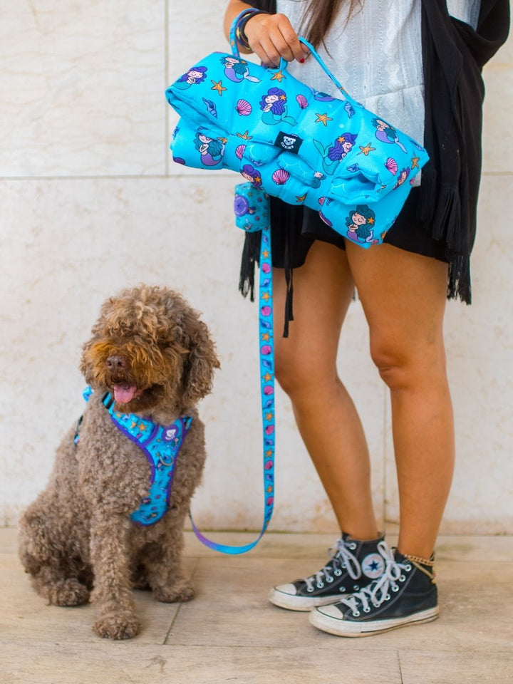 ARNÊS TRAIL PARA CÃES FLOWER POWER