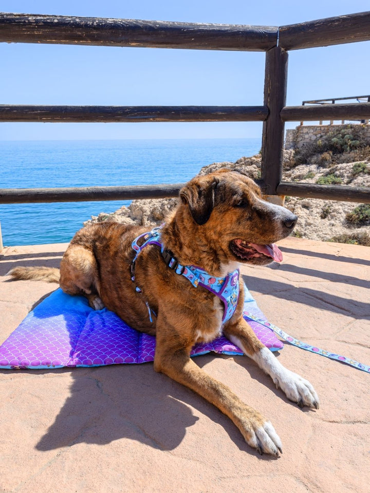 COBERTOR ENROLADO PARA CÃO MERMAID