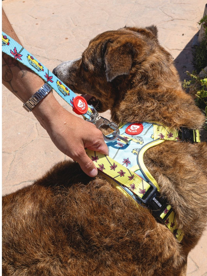 ARNÊS TRAIL PARA CÃES CALIFORNIA