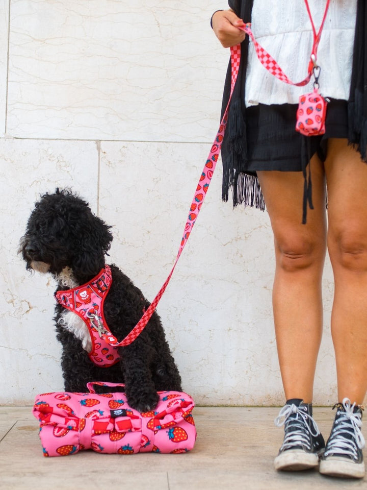 TRAIL DOG HARNESS BERRY LOVE