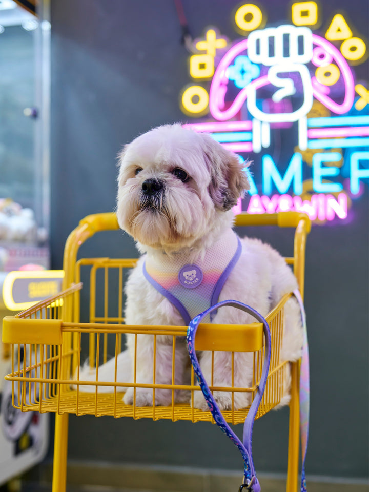 ARNÉS REVERSIBLE PARA PERRO DUKIGOTCHIS