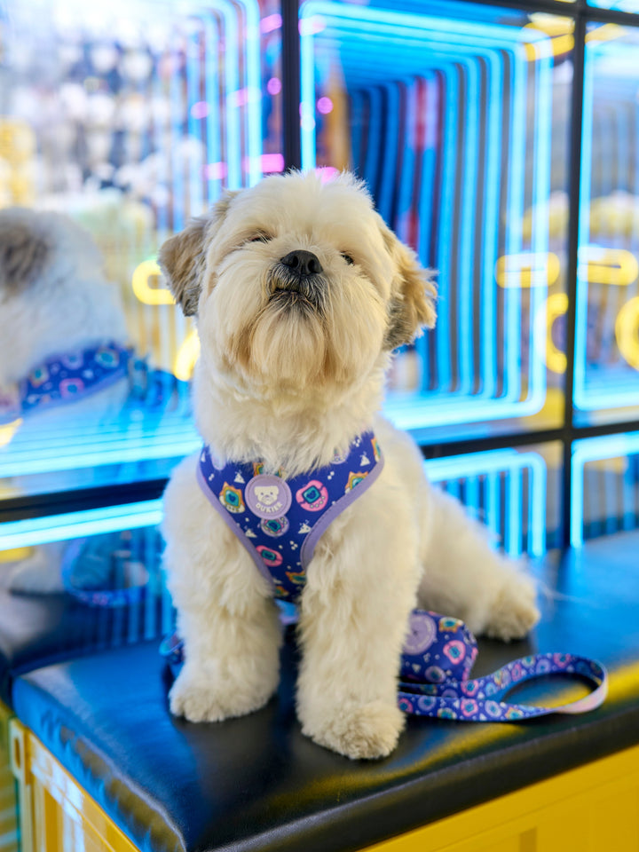 ARNÉS REVERSIBLE PARA PERRO DUKIGOTCHIS