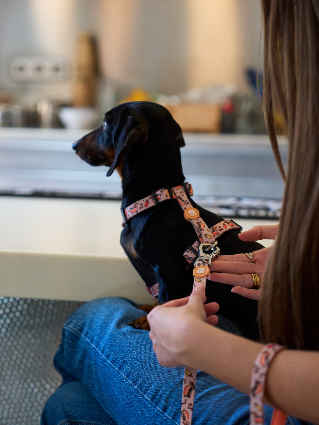 LITTLE BUGS CLASSIC DOG HARNESS