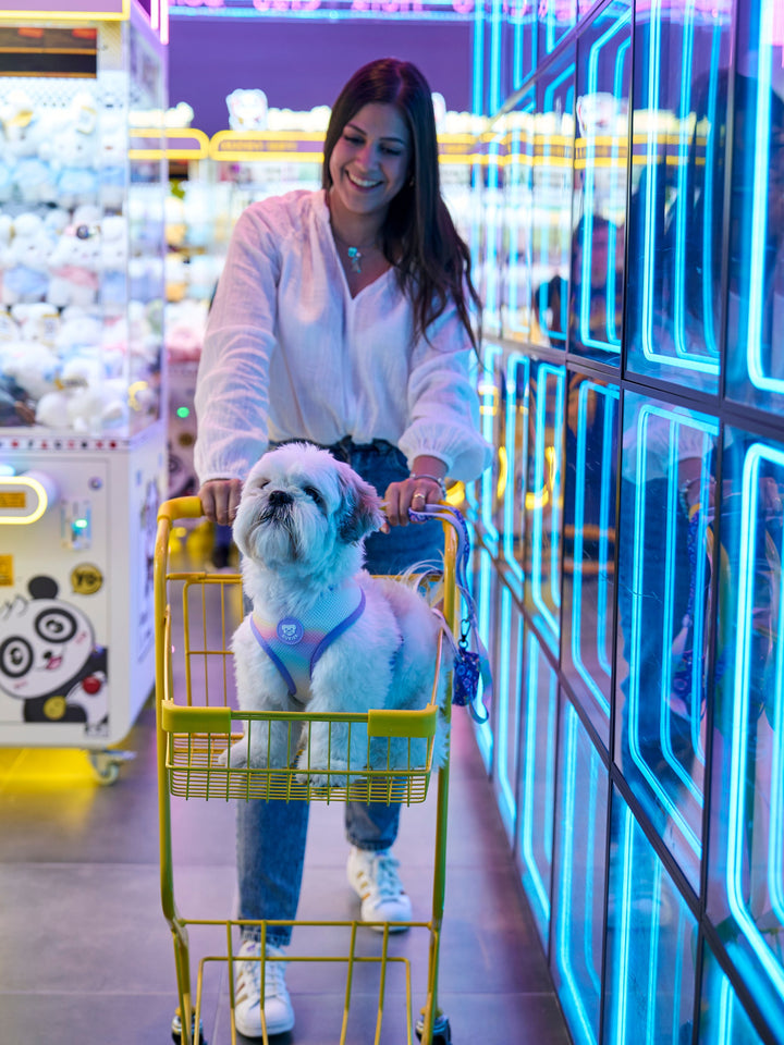 ARNÉS REVERSIBLE PARA PERRO DUKIGOTCHIS