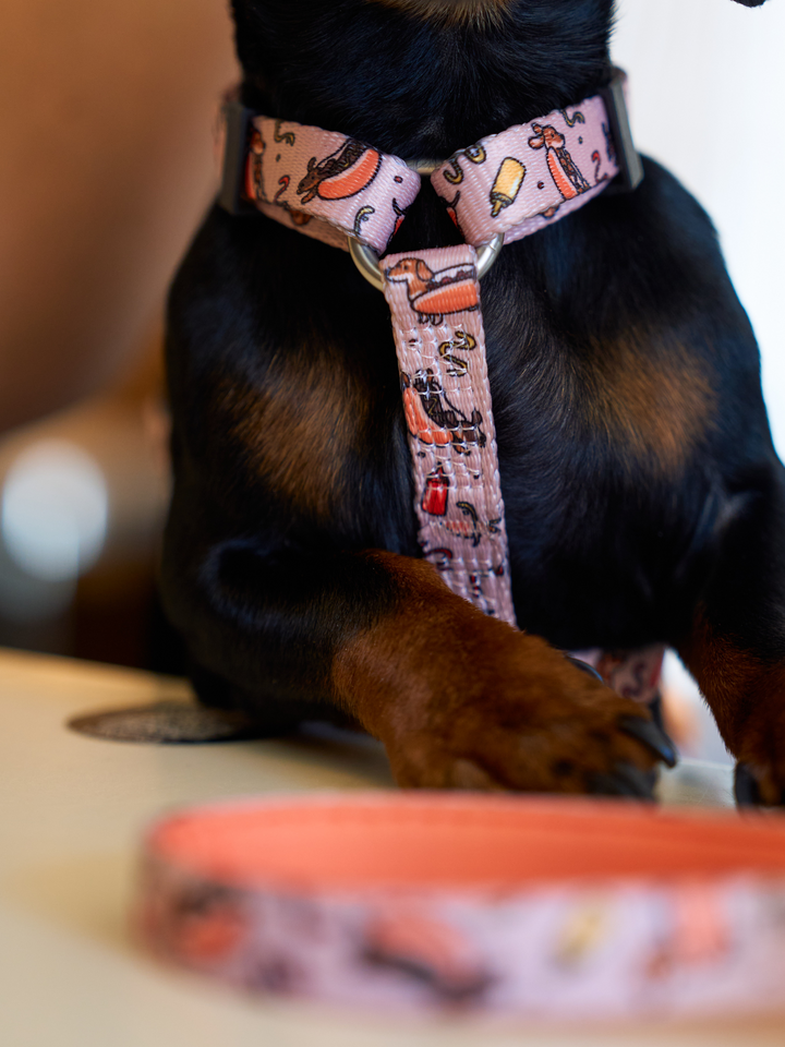LITTLE BUGS CLASSIC DOG HARNESS