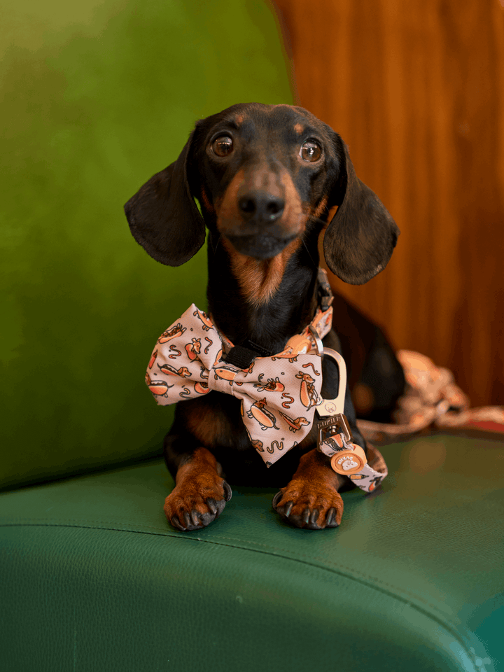 PAJARITA PARA PERRO HOT DOGS