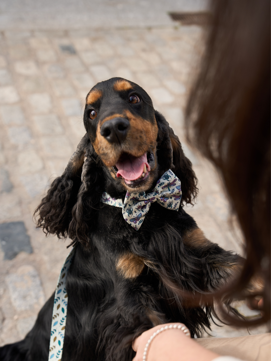COLLAR PARA PERRO LITTLE BUGS