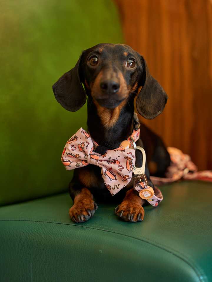 PAJARITA PARA PERRO HOT DOGS