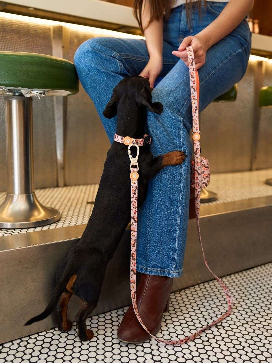 CORREA PARA PERRO HOT DOGS