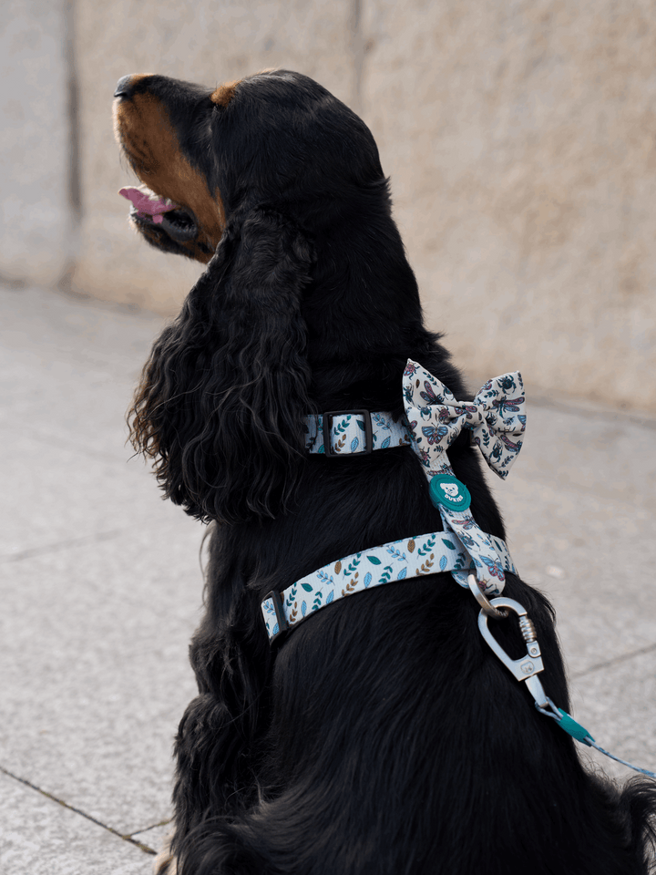 ARNÉS CLÁSICO PARA PERRO LITTLE BUGS